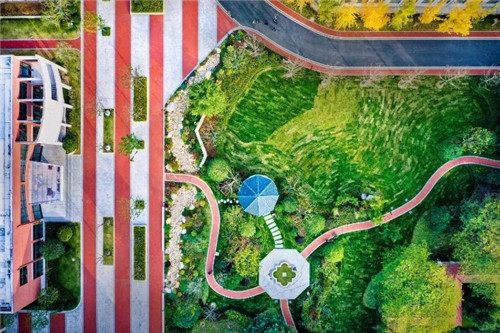 2019園冶杯專業(yè)獎丨合肥潤安公學(xué)景觀提升工程(一期)