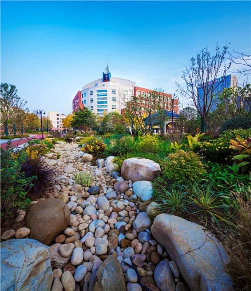 2019園冶杯專業(yè)獎丨合肥潤安公學(xué)景觀提升工程(一期)