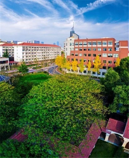 2019園冶杯專業(yè)獎丨合肥潤安公學(xué)景觀提升工程(一期)