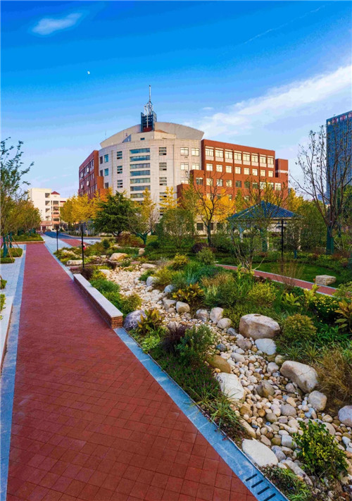 2019園冶杯專業(yè)獎丨合肥潤安公學(xué)景觀提升工程(一期)