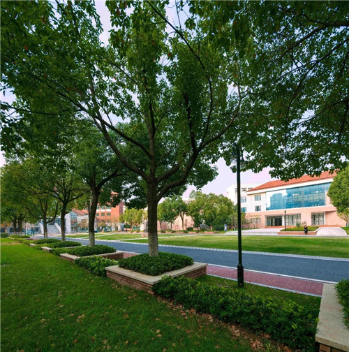 2019園冶杯專業(yè)獎丨合肥潤安公學(xué)景觀提升工程(一期)