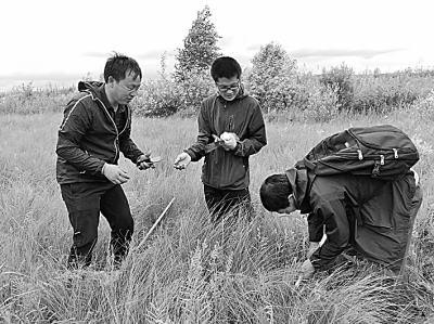 世園會鮮花盛開背后的自主創(chuàng)新