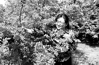 世園會鮮花盛開背后的自主創(chuàng)新