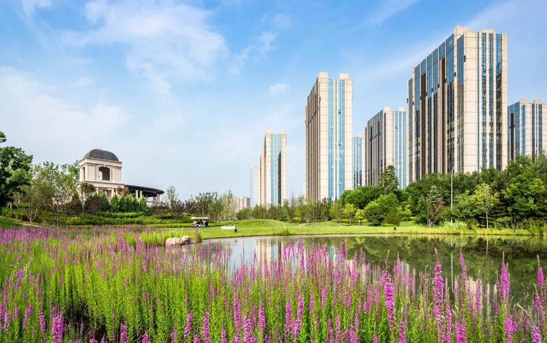 2019園冶杯專業獎丨和裕·尚峯壹號·海德公園