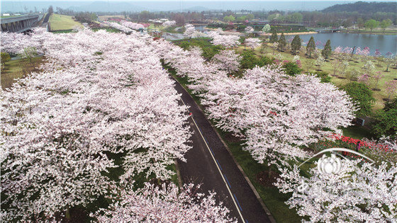 上海辰山植物園:植物界365天魔法師