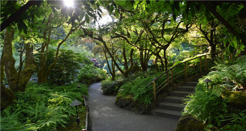 礦坑公園,讓大地傷疤涅槃重生