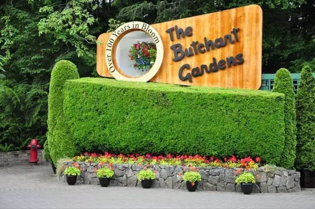 礦坑公園,讓大地傷疤涅槃重生