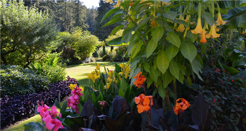 礦坑公園,讓大地傷疤涅槃重生