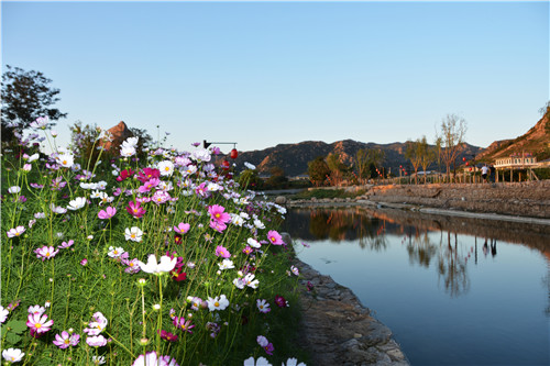 易蘭設計｜秦皇島昌黎葡萄小鎮礦坑公園