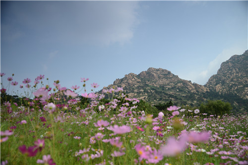 易蘭設計｜秦皇島昌黎葡萄小鎮礦坑公園