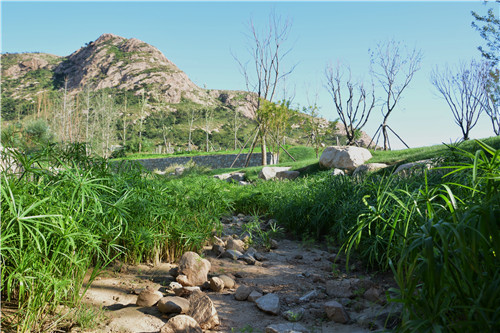 易蘭設計｜秦皇島昌黎葡萄小鎮礦坑公園