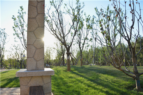 易蘭設計｜秦皇島昌黎葡萄小鎮礦坑公園