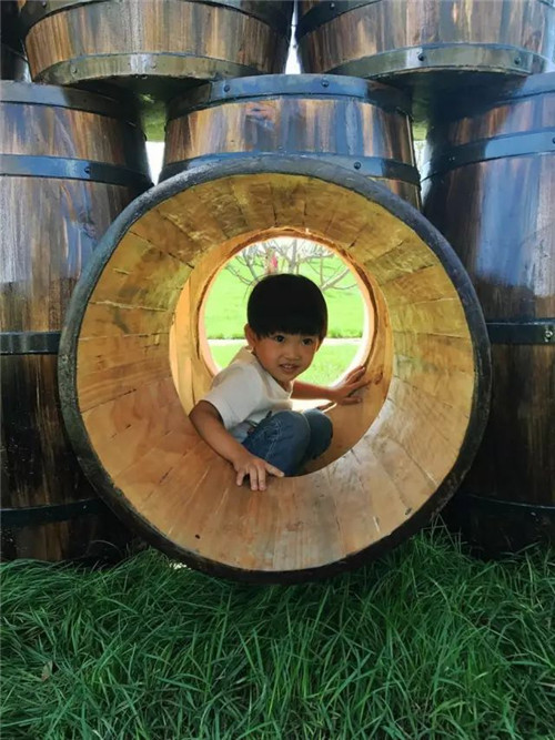 易蘭設計｜秦皇島昌黎葡萄小鎮礦坑公園