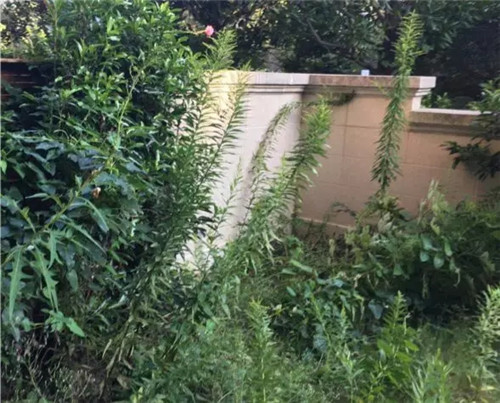 復地御西郊｜山長水闊知何處