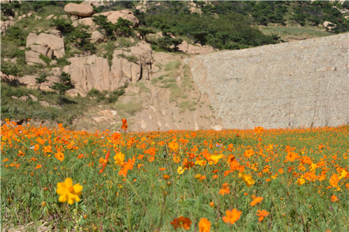 礦坑公園,讓大地傷疤涅槃重生