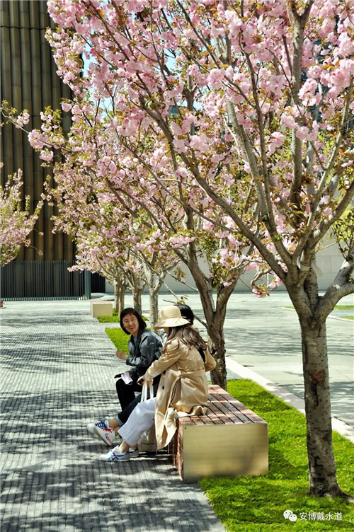 Ramboll Share | 國銳金嵿生態(tài)公園社區(qū)-環(huán)境友好型景觀設計與雨洪管理實踐