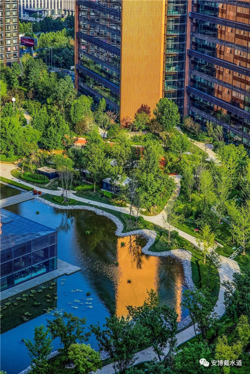 Ramboll Share | 國銳金嵿生態(tài)公園社區(qū)-環(huán)境友好型景觀設計與雨洪管理實踐