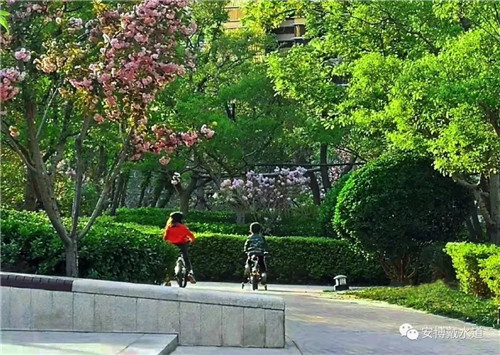 Ramboll Share | 國銳金嵿生態(tài)公園社區(qū)-環(huán)境友好型景觀設計與雨洪管理實踐