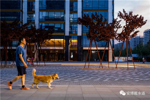 Ramboll Share | 國銳金嵿生態(tài)公園社區(qū)-環(huán)境友好型景觀設計與雨洪管理實踐