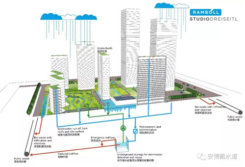 Ramboll Share | 國銳金嵿生態(tài)公園社區(qū)-環(huán)境友好型景觀設計與雨洪管理實踐