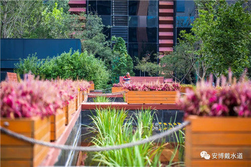 Ramboll Share | 國銳金嵿生態(tài)公園社區(qū)-環(huán)境友好型景觀設計與雨洪管理實踐