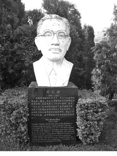 植物學家的人文視野