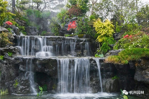 浙里故事 | 精心組織,高效推進國際一流展園建設