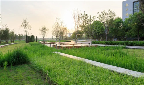 送雨水回家|遷安海綿城市建設成果