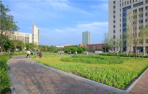 送雨水回家|遷安海綿城市建設成果