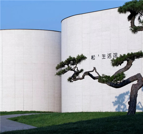 看見時間的力量 | 山水比德2019年上半年精品項目合集