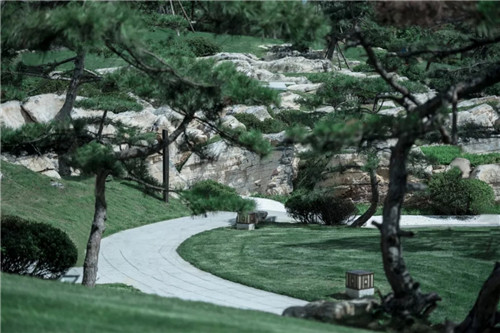 看見時間的力量 | 山水比德2019年上半年精品項目合集