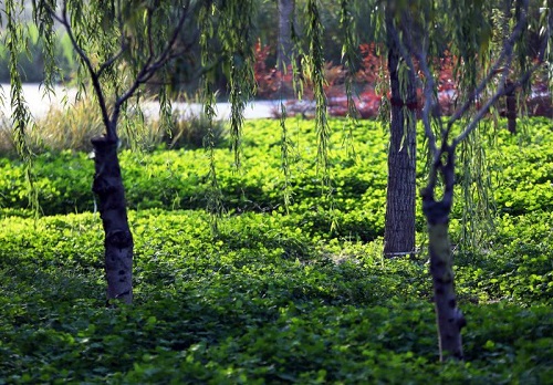 鄭州規劃打造環城六大生態片區