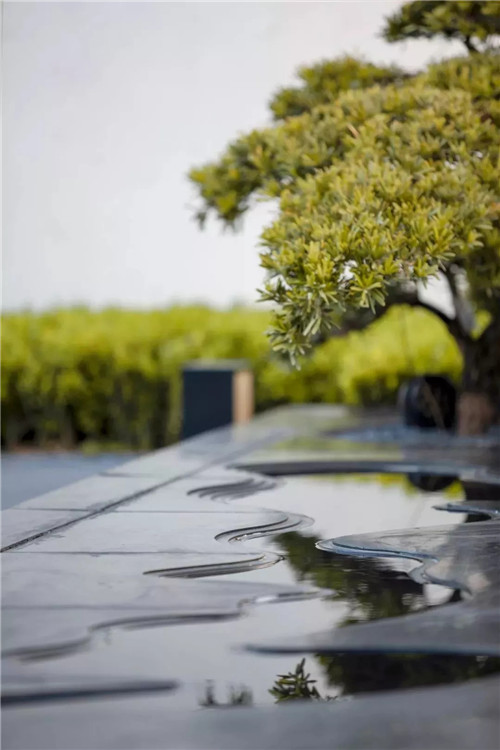 集江山大美 尋詩意江畔 | 金科集美江畔