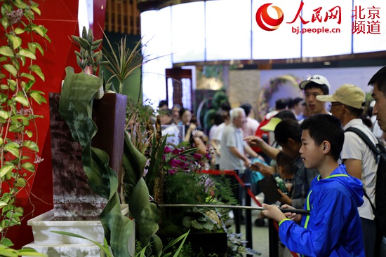 世界珍稀旗艦植物亮相世園會北京展區