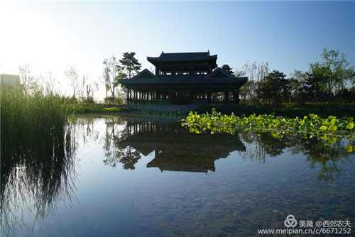 第三屆河北（邢臺）園博會園林建筑精品大收藏