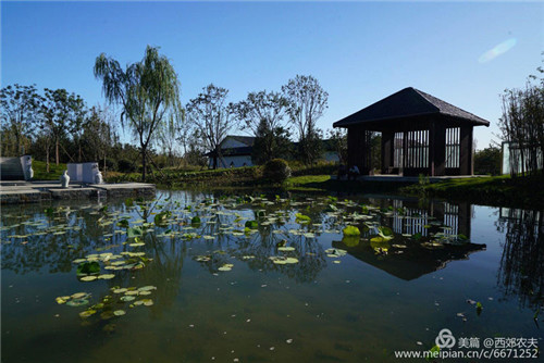 第三屆河北（邢臺）園博會園林建筑精品大收藏