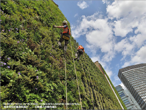 Justin Abbott：水設計——通過整合藍、綠、灰色基礎設施提高城市韌性