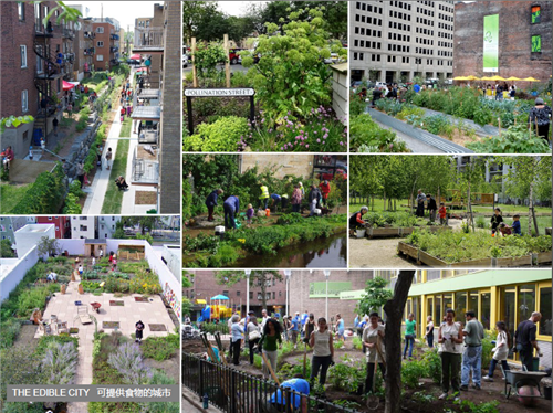 Justin Abbott：水設計——通過整合藍、綠、灰色基礎設施提高城市韌性