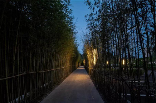 2019園冶杯專業獎丨石首顯揚府MOMA展示區景觀園林設計