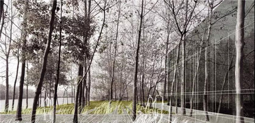 2019園冶杯專業獎丨石首顯揚府MOMA展示區景觀園林設計