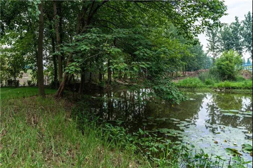 2019園冶杯專業獎丨石首顯揚府MOMA展示區景觀園林設計