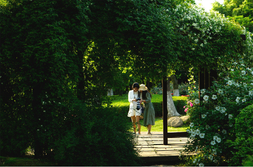 張曉鳴：風(fēng)景園林與優(yōu)美生態(tài)環(huán)境