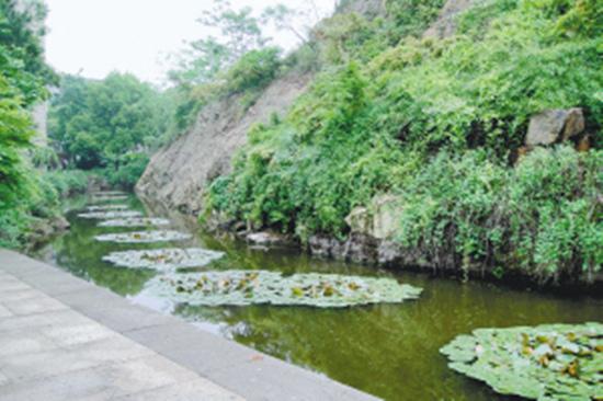 紹興園林曾秀甲一方 這位造園大師功不可沒