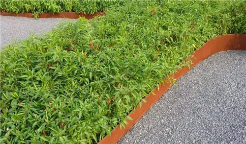 2019園冶杯專業(yè)獎(jiǎng)丨秦皇島濱海度假城兒童農(nóng)莊