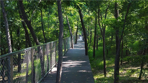 2019園冶杯專業(yè)獎(jiǎng)丨秦皇島濱海度假城兒童農(nóng)莊