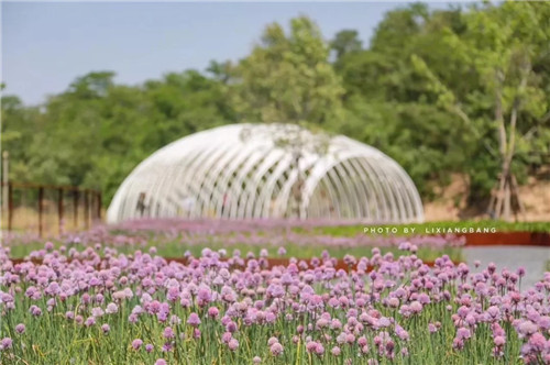 2019園冶杯專業(yè)獎(jiǎng)丨秦皇島濱海度假城兒童農(nóng)莊