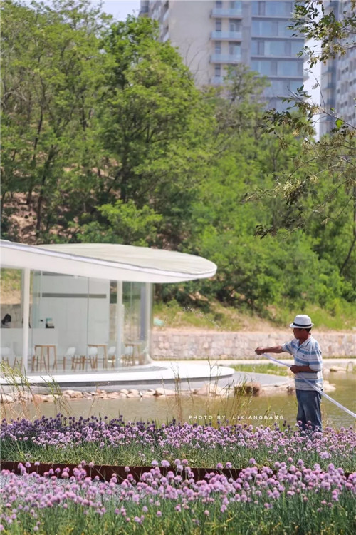 2019園冶杯專業(yè)獎(jiǎng)丨秦皇島濱海度假城兒童農(nóng)莊