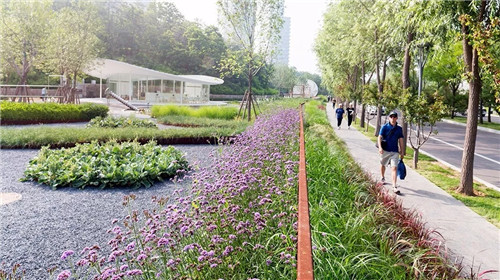 2019園冶杯專業(yè)獎(jiǎng)丨秦皇島濱海度假城兒童農(nóng)莊