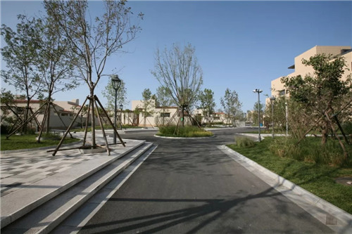 章俊華作品: 無形中的有形——秦皇島阿那亞三期景觀設計