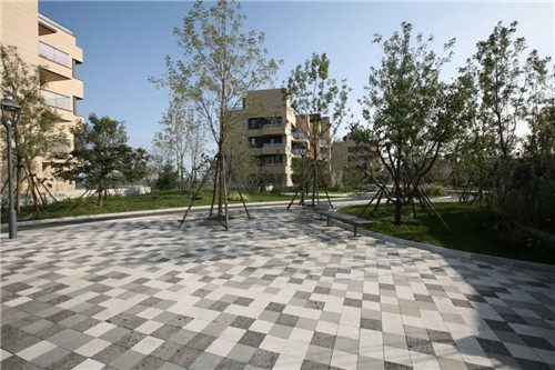 章俊華作品: 無形中的有形——秦皇島阿那亞三期景觀設計